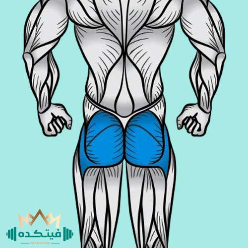 حرکات باسن - فیتکده